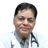 Dr. KK Pareek